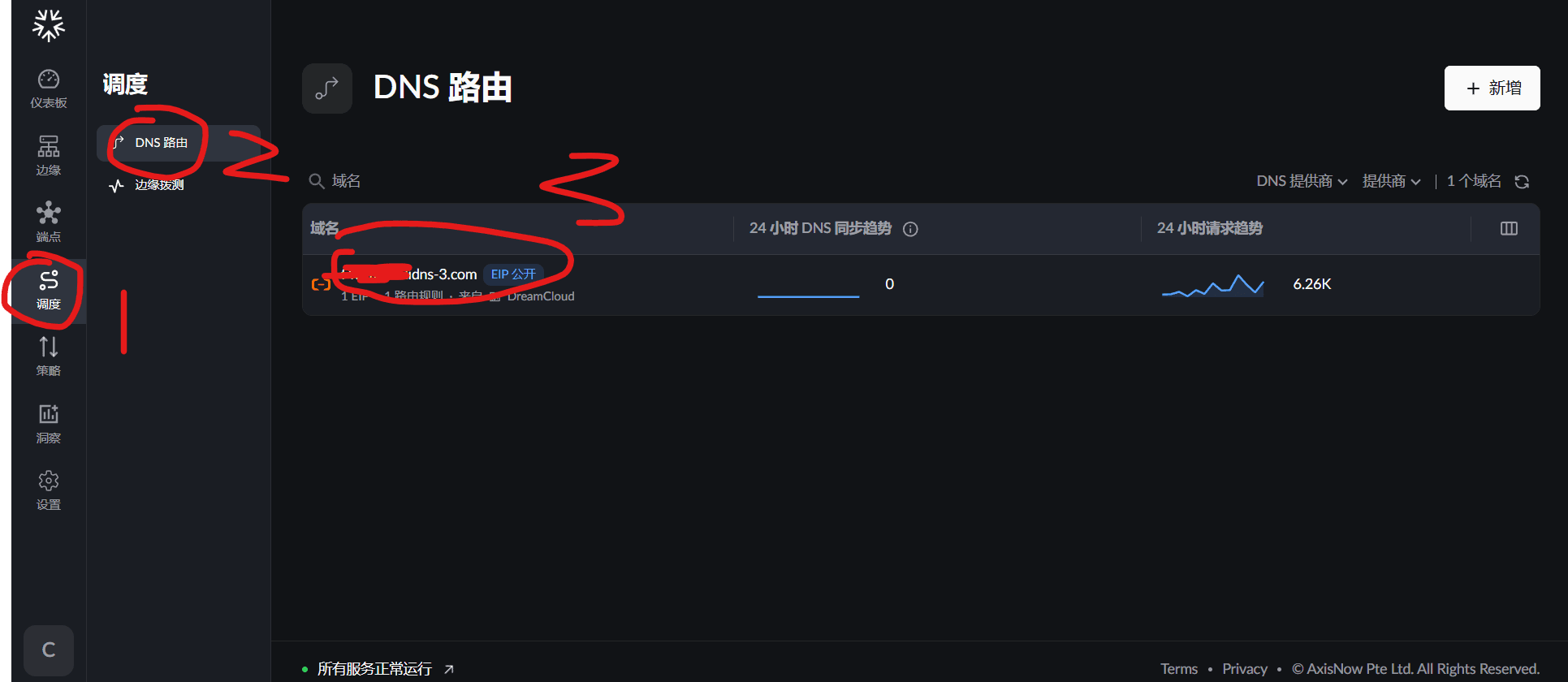 复制 DNS 路由值
